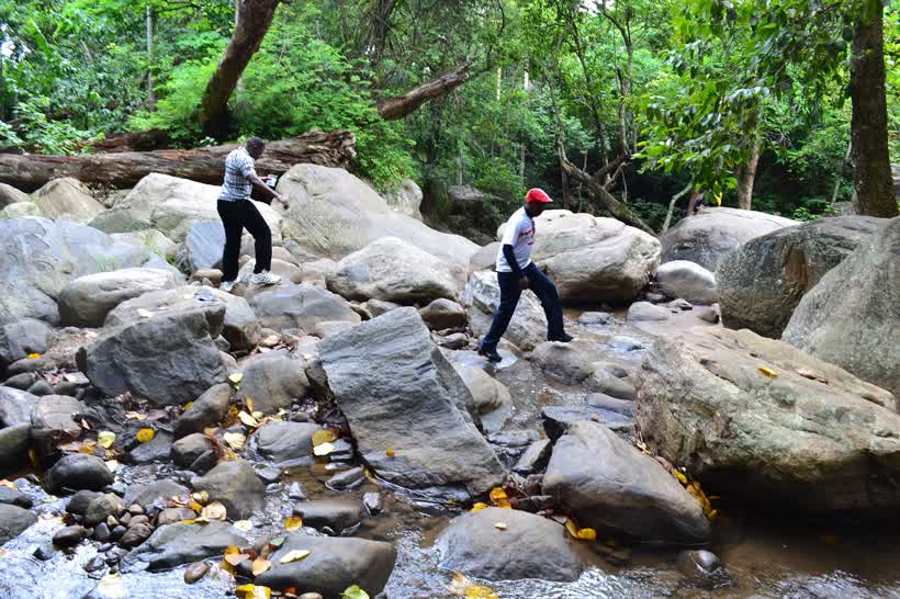 Guests on a forest excursion